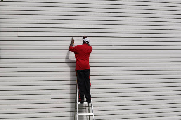 Best Wood Siding Installation  in Wapello, IA