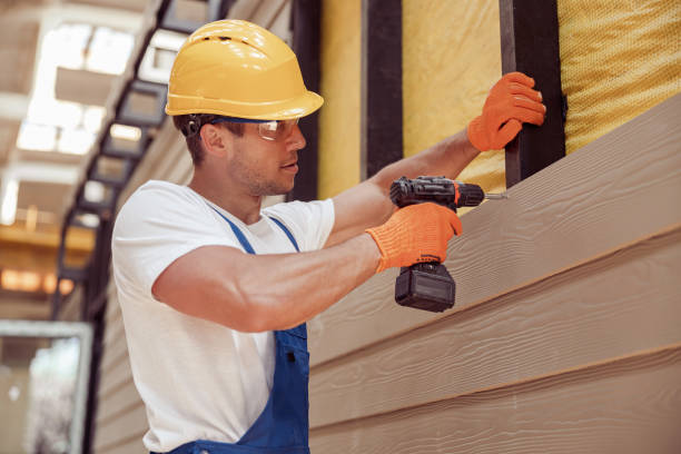 Best Weatherproofing and Sealing  in Wapello, IA
