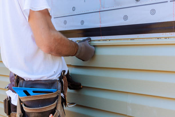 Best Steel Siding Installation  in Wapello, IA