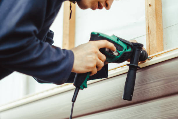 Best Vinyl Siding Installation  in Wapello, IA